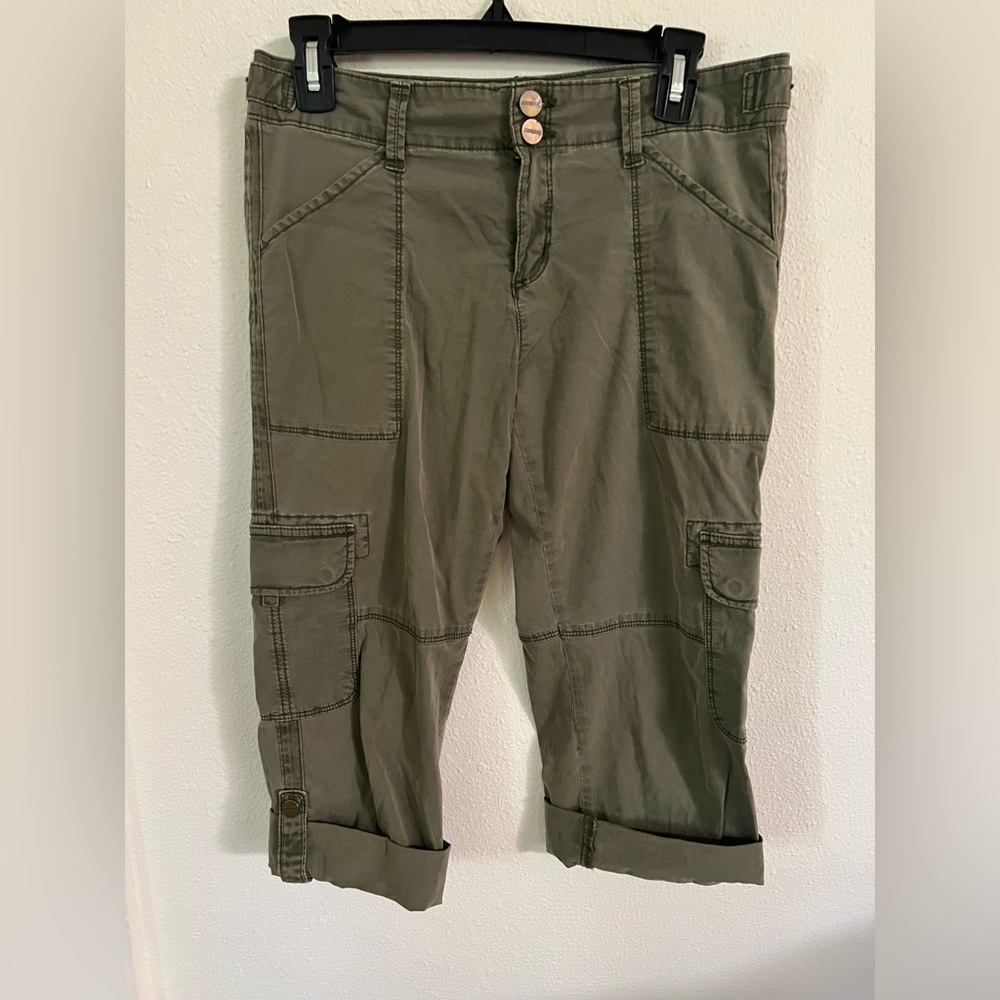 Sanctuary capri pants
